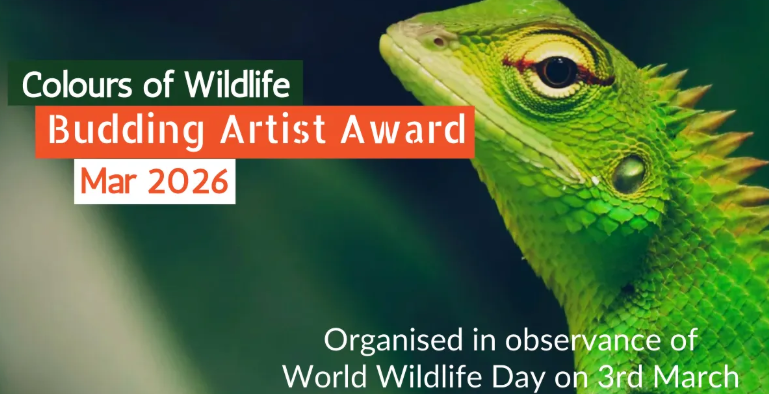 Colours of Wildlife - Budding Artist Award 2026